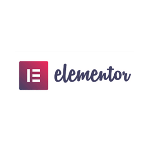 Elementor Agentur Web-Storys