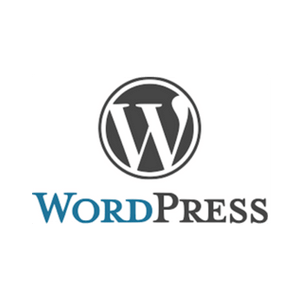 WordPress Agentur Nürnberg